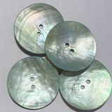 Shell / 2 Hole