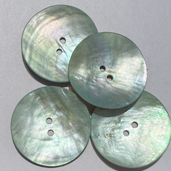 Shell / 2 Hole