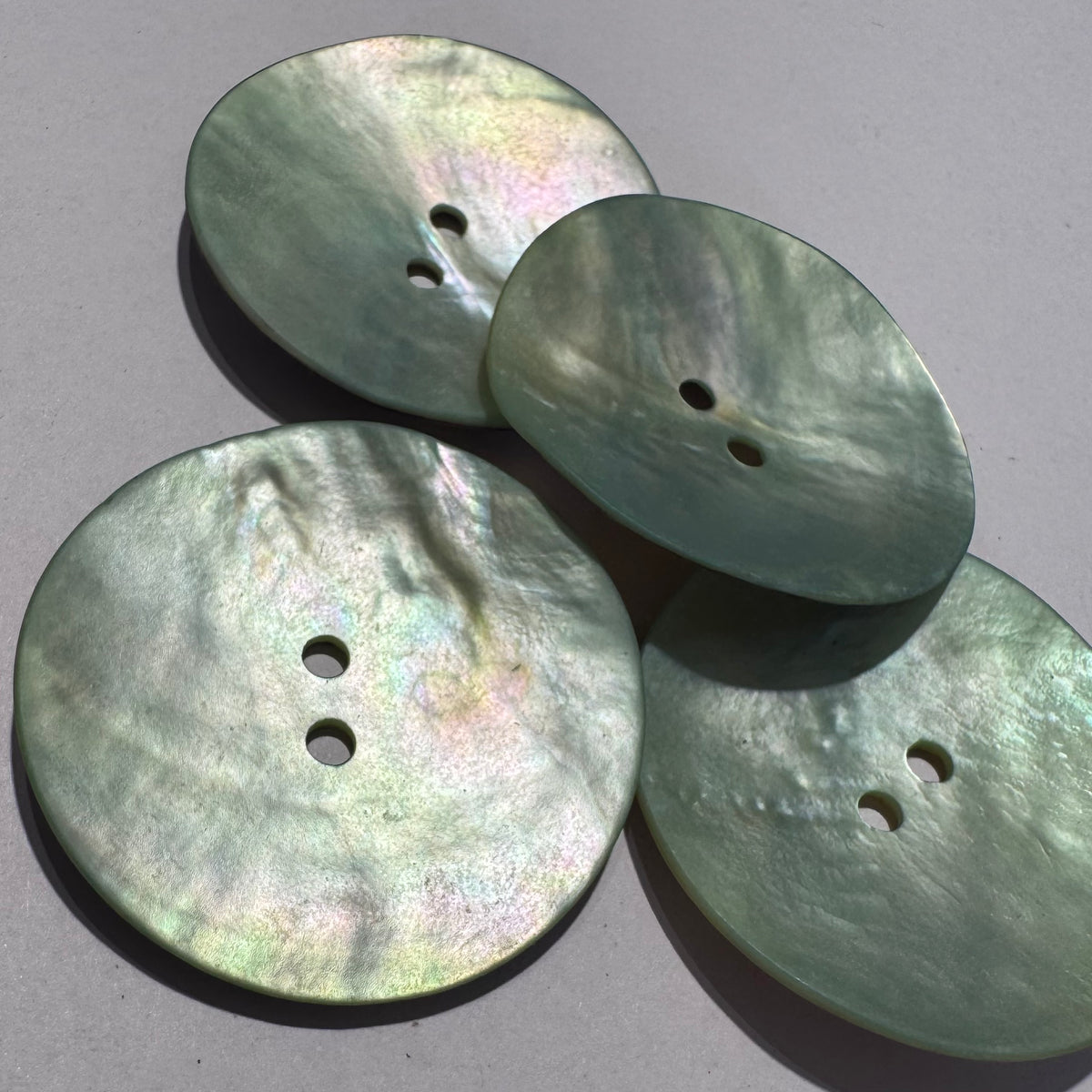 Shell / 2 Hole – Buttonmania