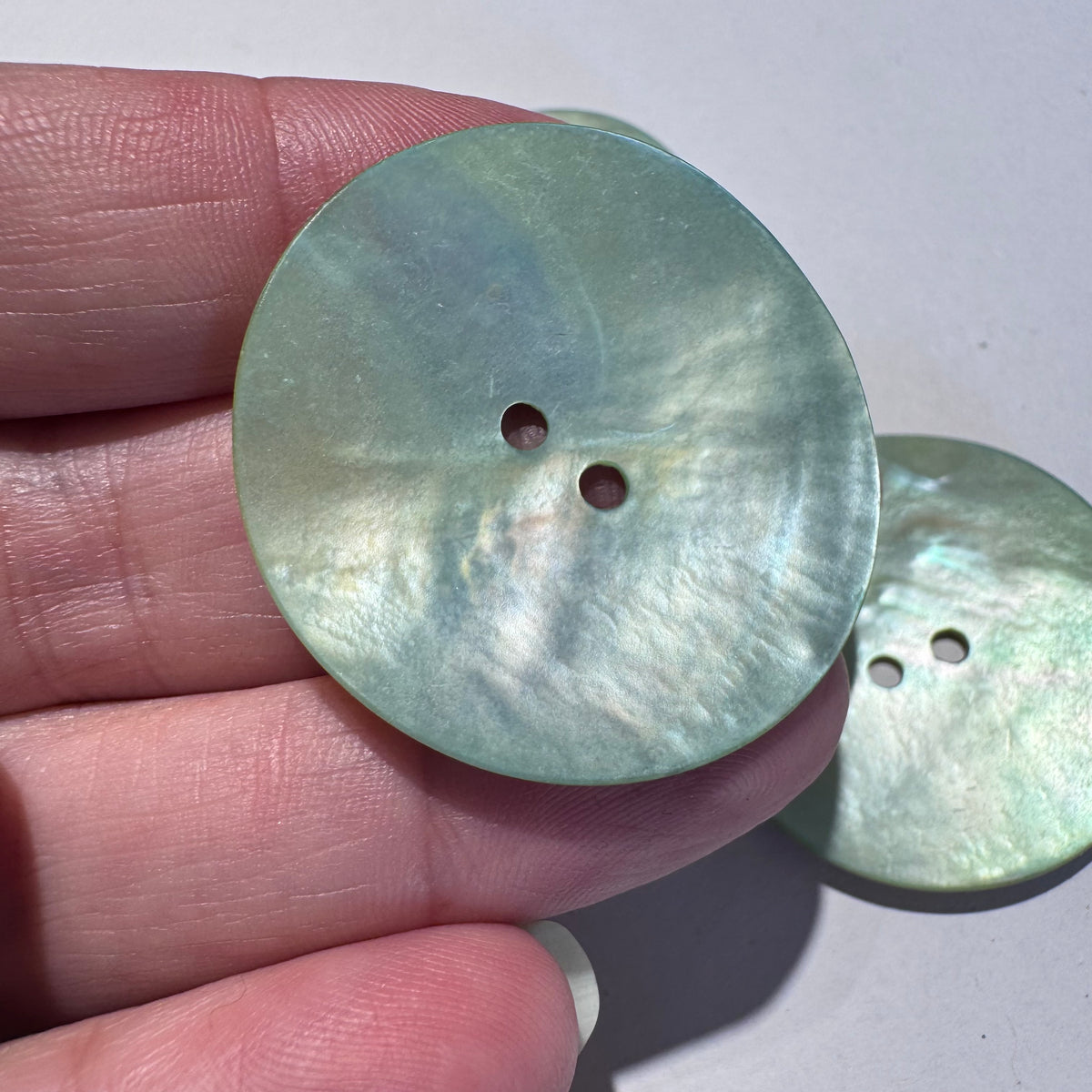 Shell / 2 Hole – Buttonmania