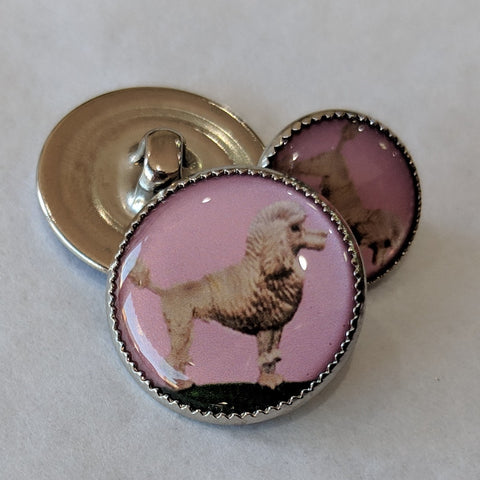 Poodle / White dog with pink background / Acrylic Dome