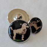 Poodle / White dog with black background / Acrylic Dome