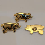 Gold shiny pig