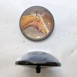 Chestnut Horse / Acrylic Dome