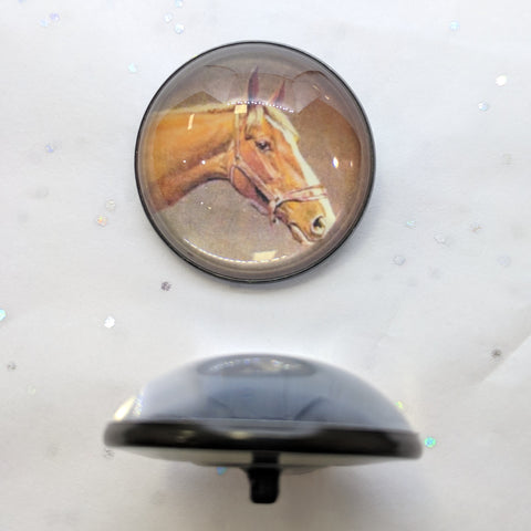Chestnut Horse / Acrylic Dome