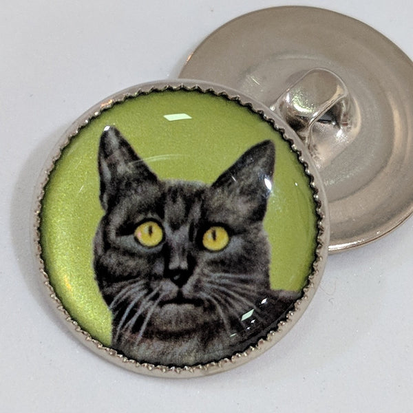 Cat / Green Background / Acrylic Dome