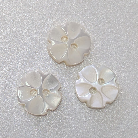 White Flower / Shell / Shirt Button