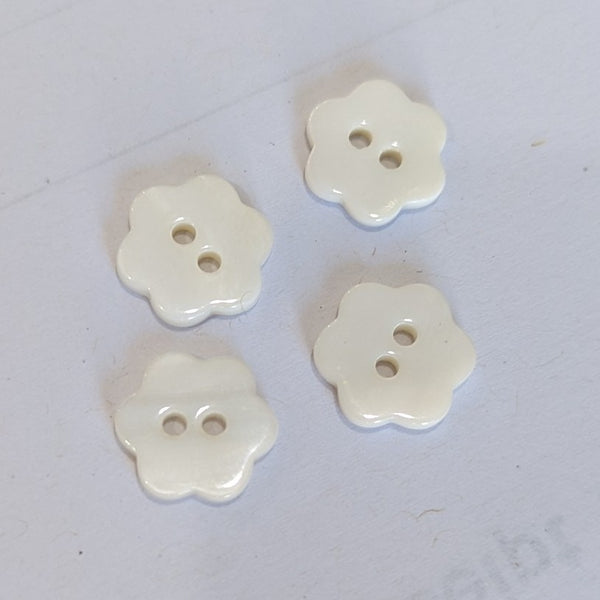 White Shell Flower
