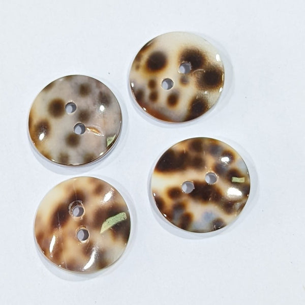 Tiger Shell Button Tiger Shell / 2 Hole – Buttonmania