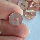 River Shell / 2 Hole