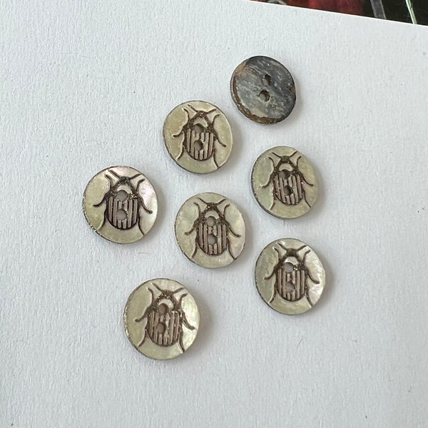 Sparkly Beetle / Shell / 2 Hole