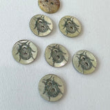 Sparkly Beetle / Shell / 2 Hole