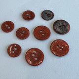 Glitter Button / Shell / 2 Hole