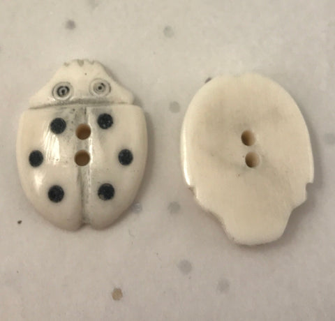 White (Cream) / Ladybird / Matte