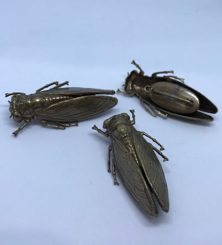 Metal Insect Brooch / Bronze