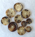 Mid Brown Horn / Rimmed / Shiny