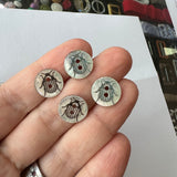 Sparkly Beetle / Shell / 2 Hole