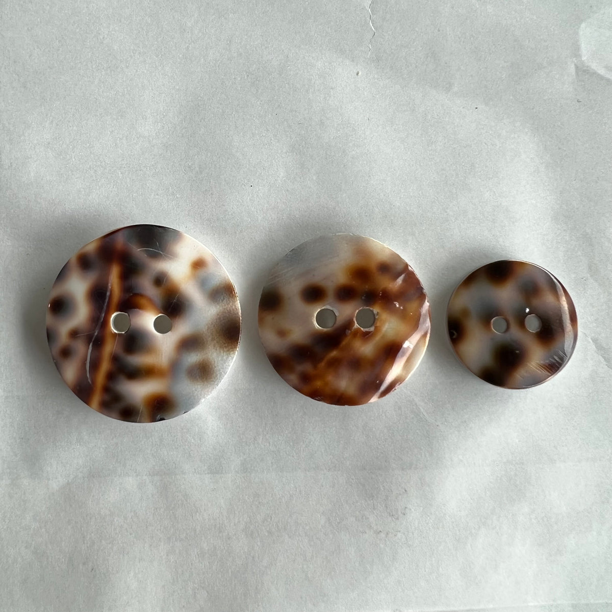 Tiger Shell Button Tiger Shell / 2 Hole – Buttonmania