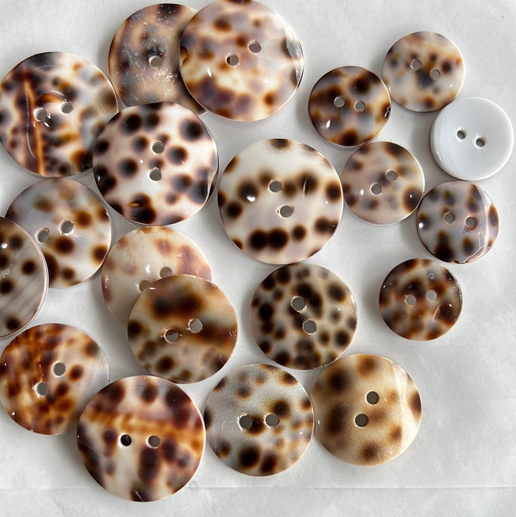 Tiger Shell Button Tiger Shell / 2 Hole – Buttonmania
